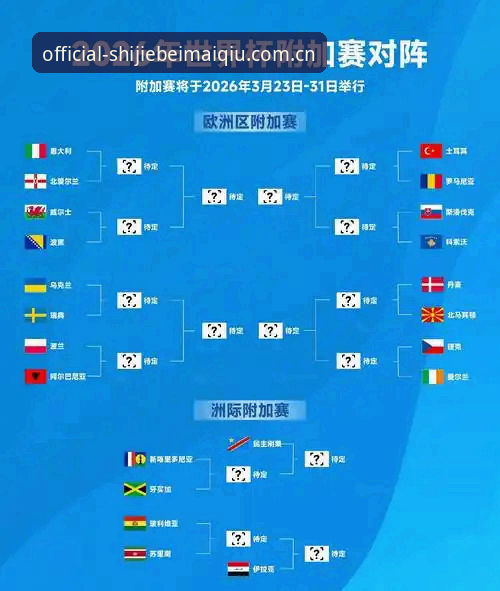 世界杯买球平台官网攻略 深度揭秘:2026世界杯观赛危机下的球迷困境与平台应对策略